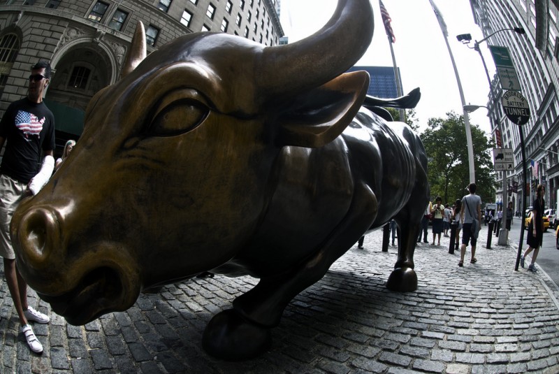 Investing for beginners meets the bull